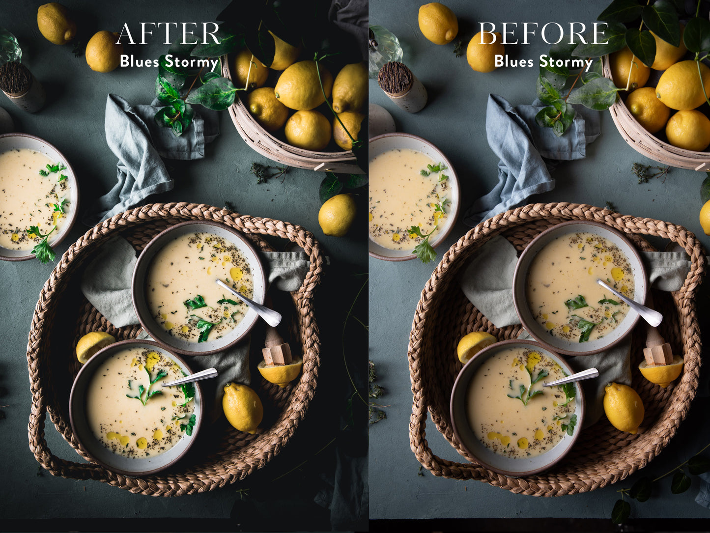 Entire LUT & Lightroom Preset Collection Bundle
