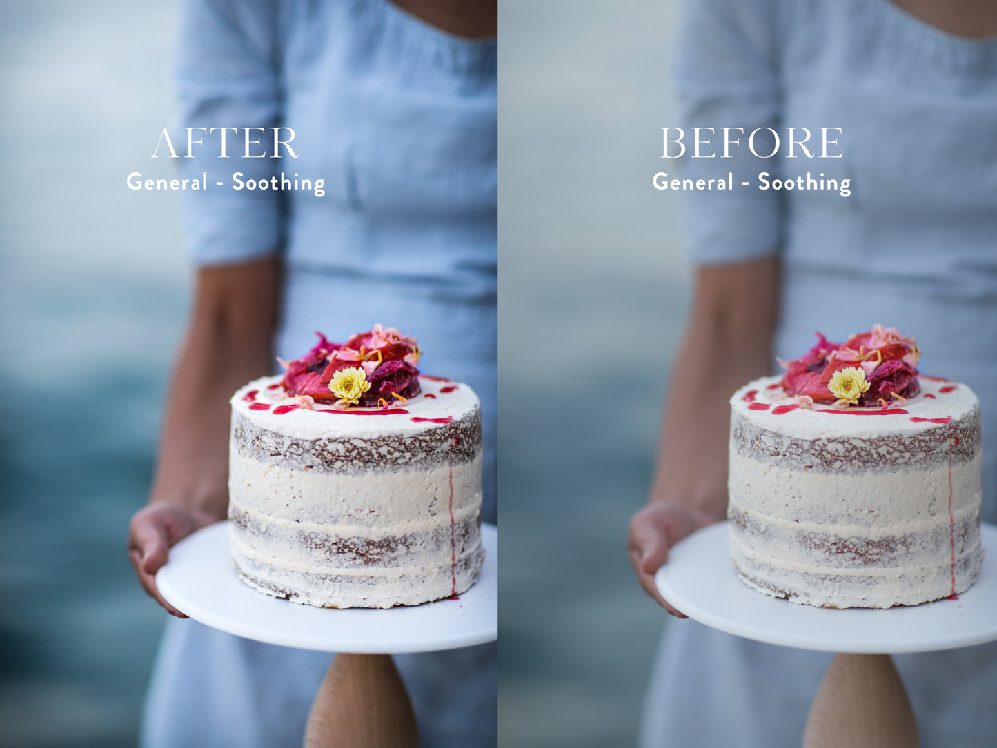 Entire LUT & Lightroom Preset Collection Bundle