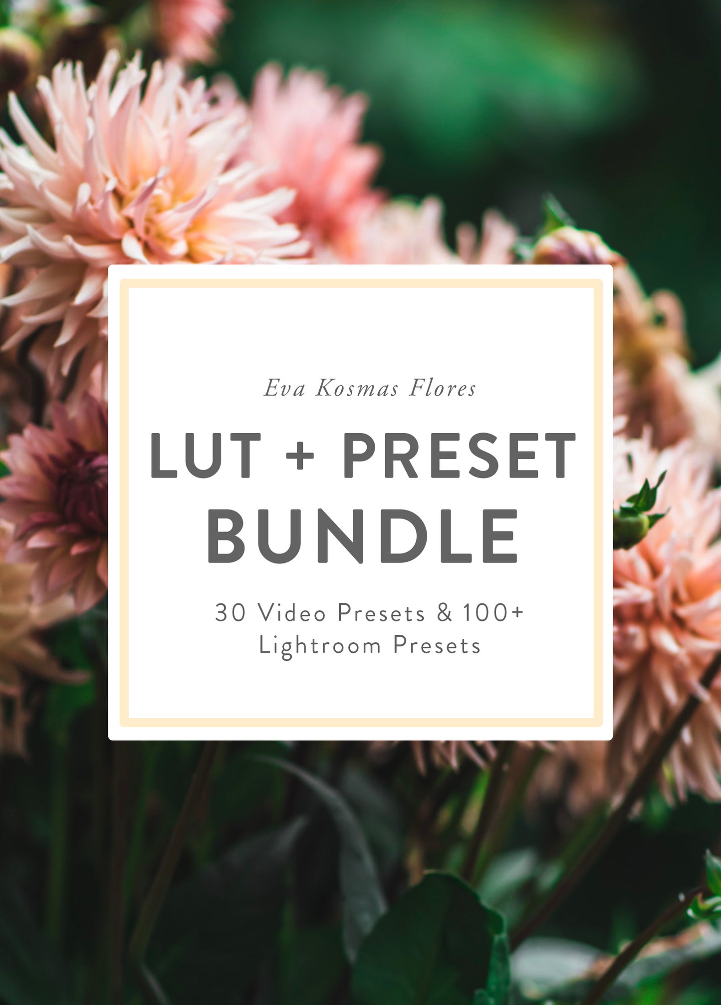 Entire LUT & Lightroom Preset Collection Bundle